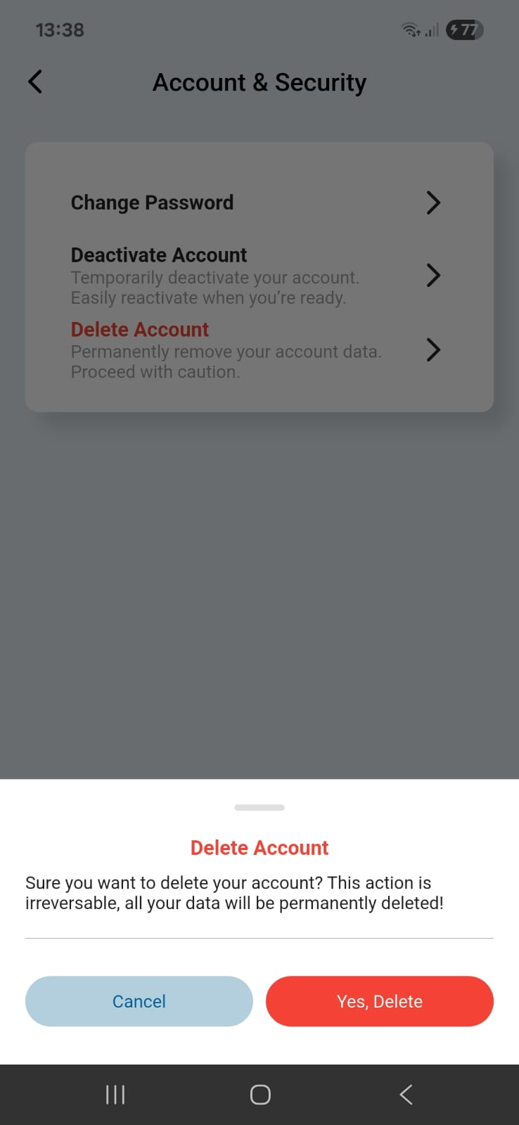 Delete confirmation modal